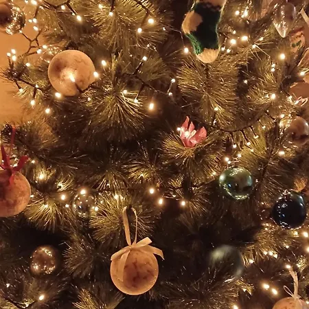 The Lyndee House Pensjonat *